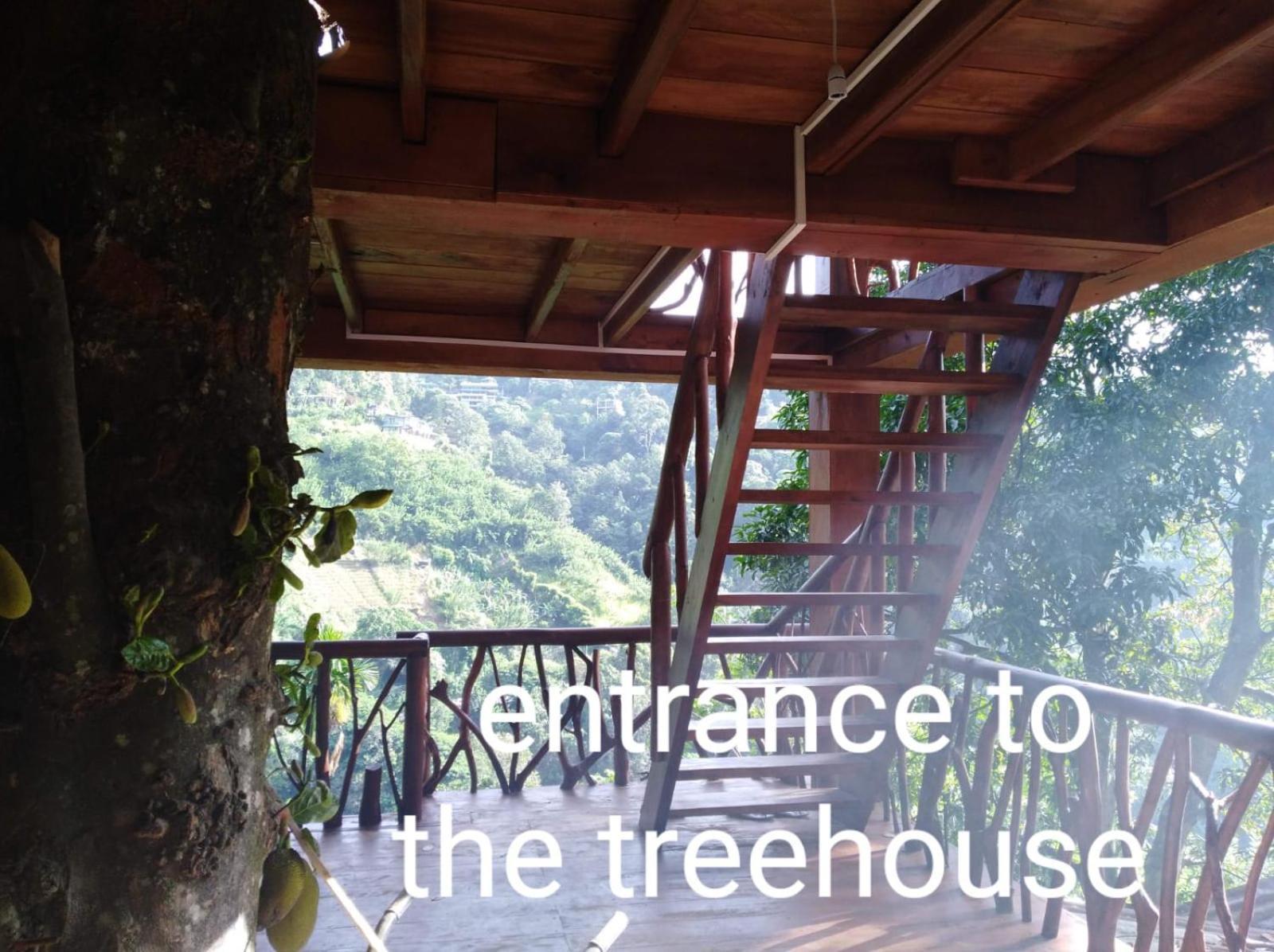 ホテル Ella Treehouse エクステリア 写真