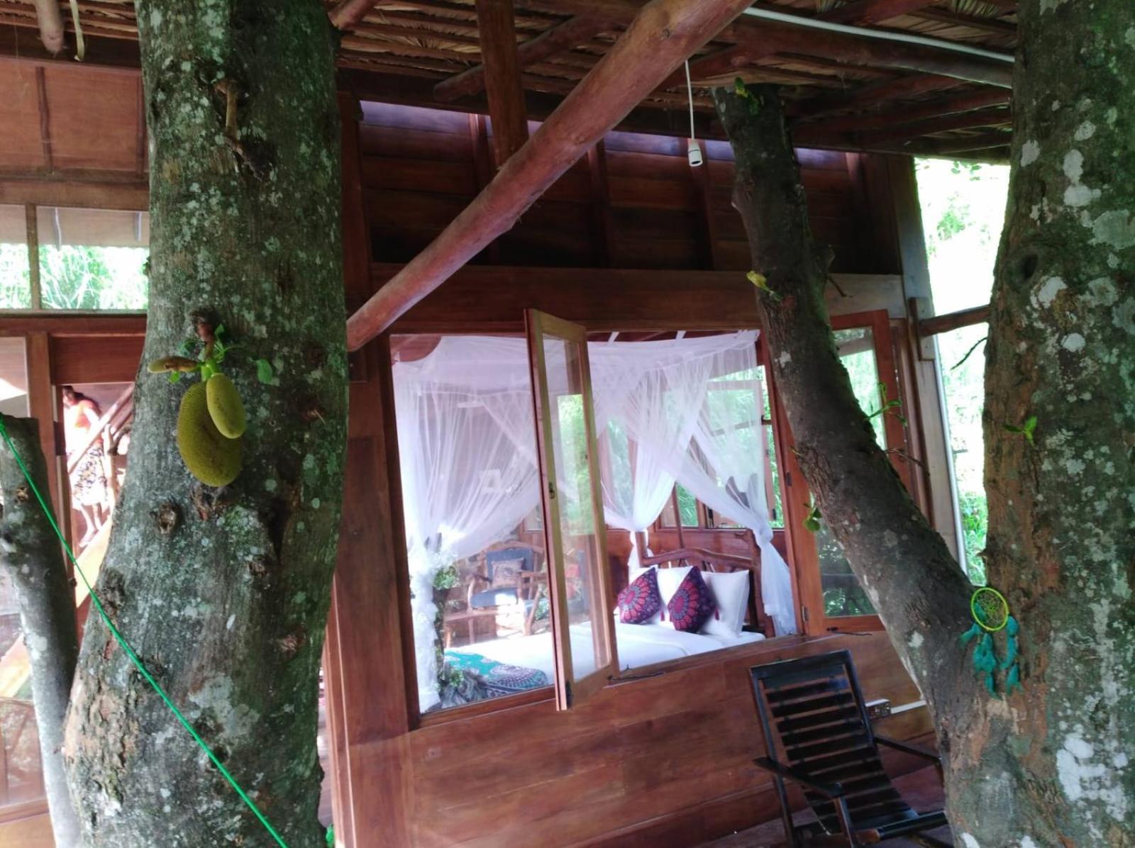 ホテル Ella Treehouse エクステリア 写真