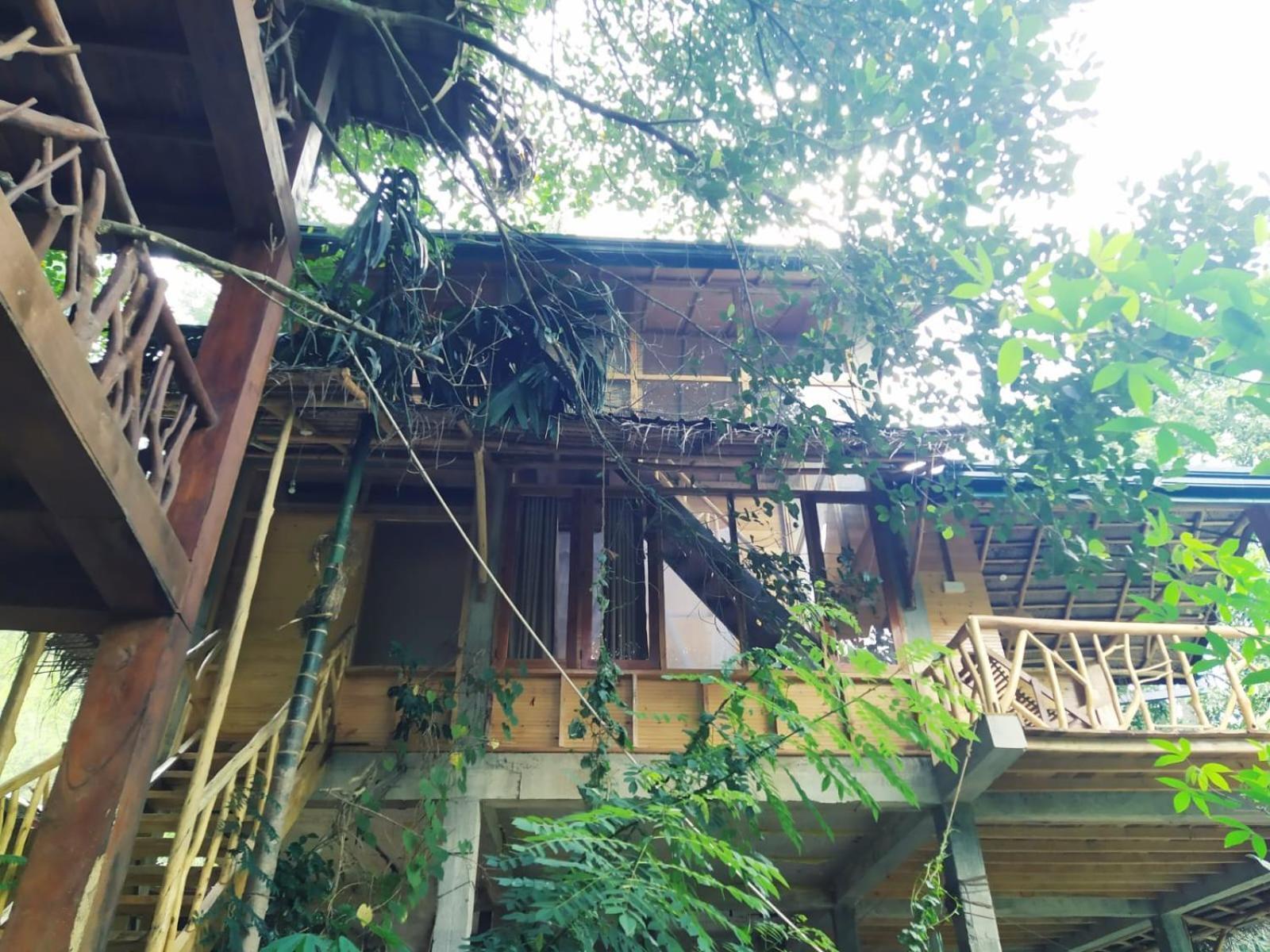 ホテル Ella Treehouse エクステリア 写真