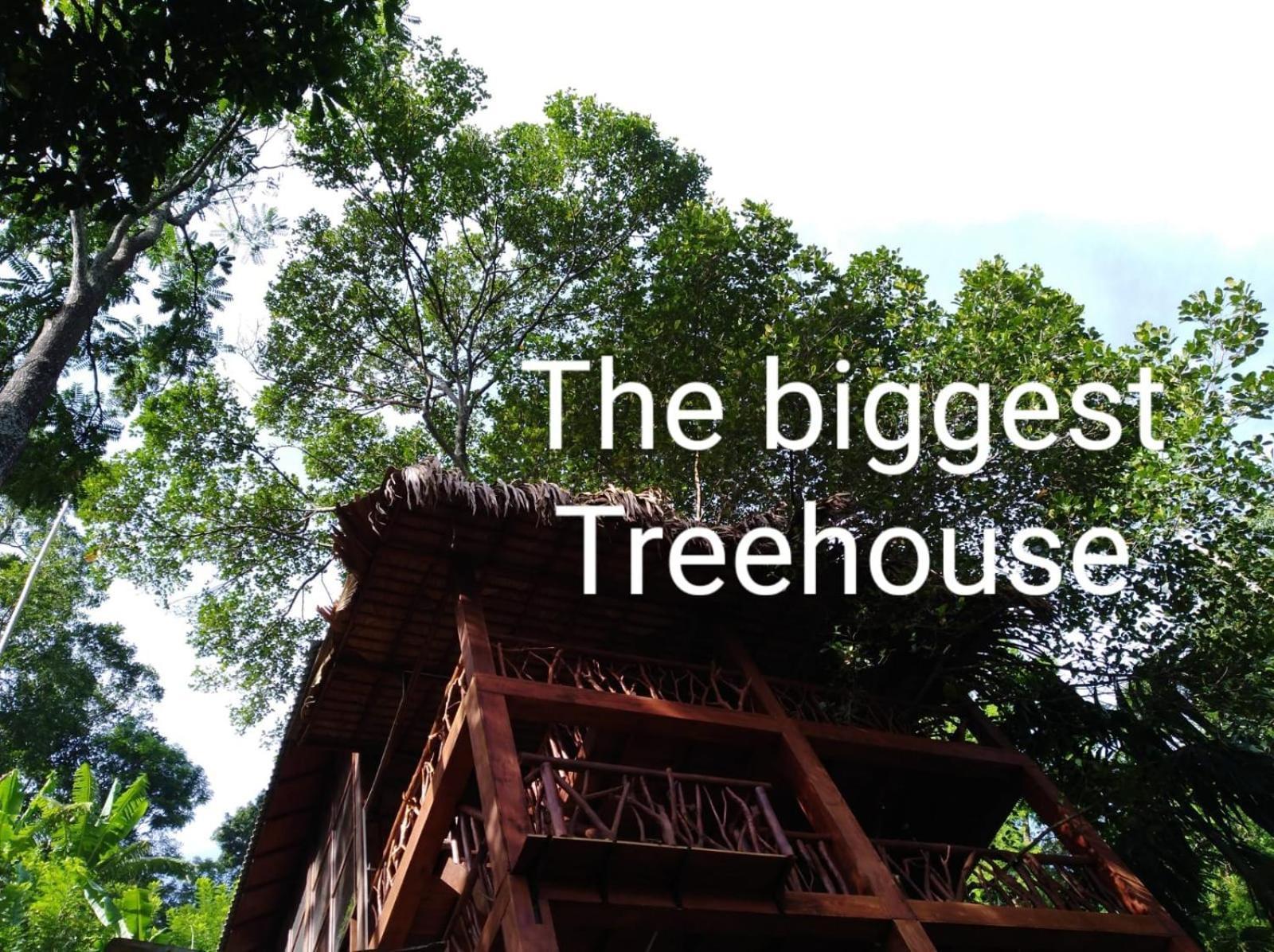 ホテル Ella Treehouse エクステリア 写真