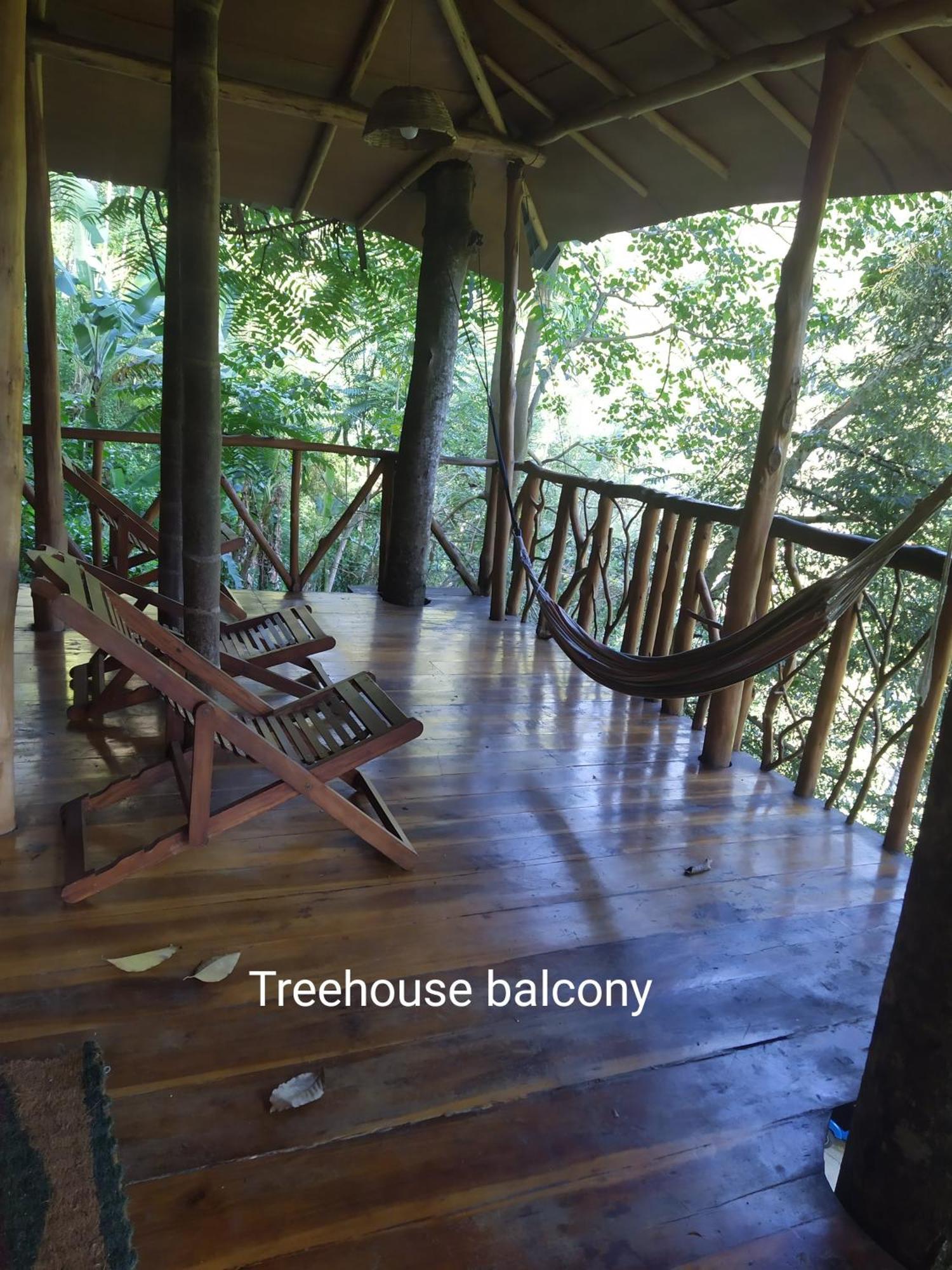 ホテル Ella Treehouse エクステリア 写真