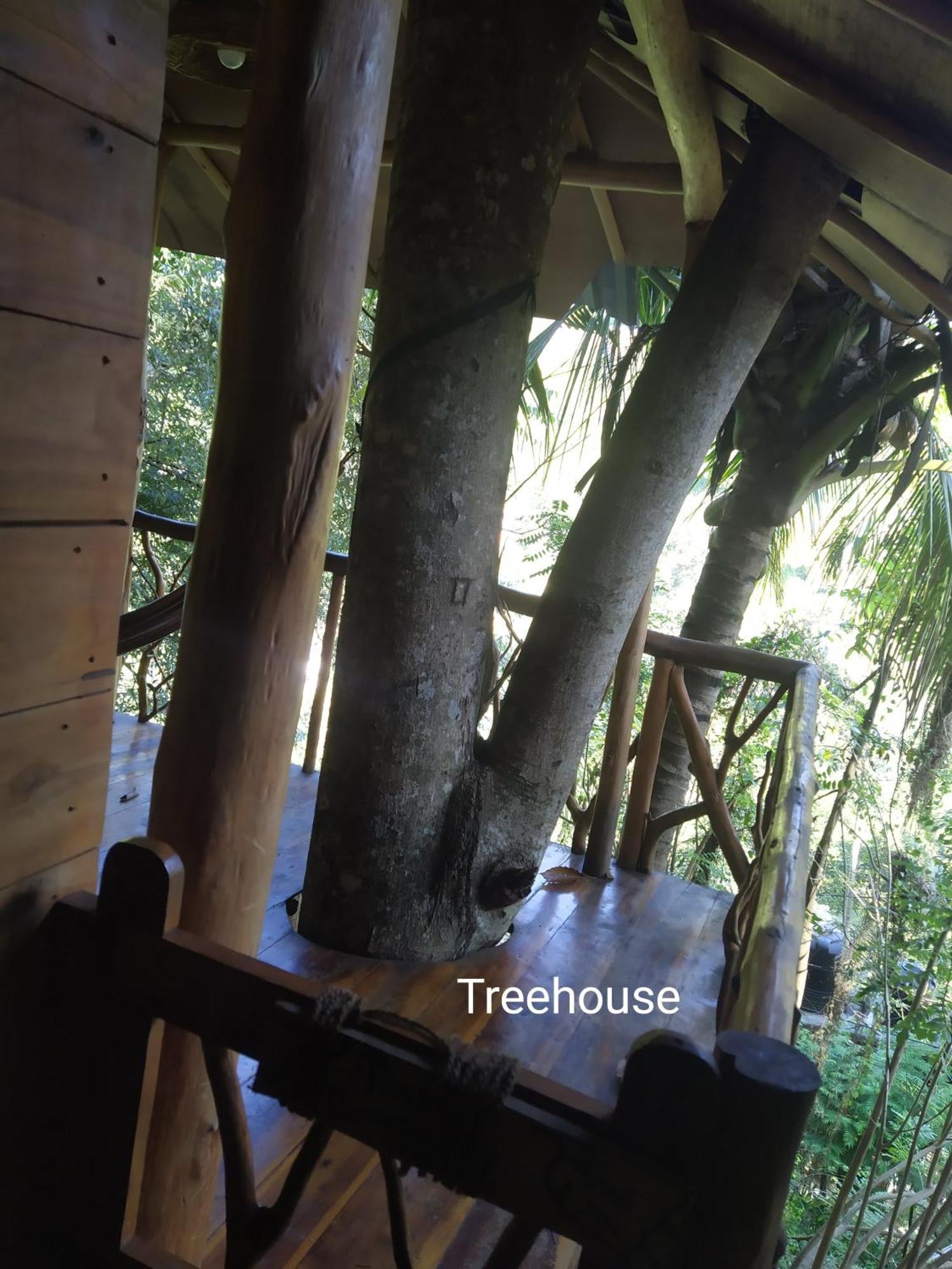 ホテル Ella Treehouse エクステリア 写真